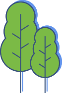 Trinity boiler experts tree Trinity boiler experts tree
