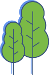 Trinity boiler experts tree Trinity boiler experts tree